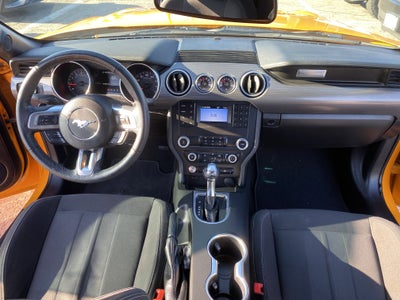 2019 Ford Mustang Base