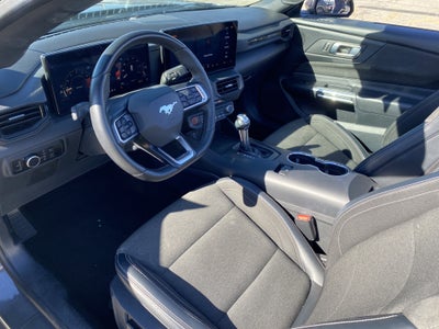 2024 Ford Mustang EcoBoost