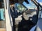 2016 Ford Transit Cargo Van T-250 148 MED RF 9000 GV