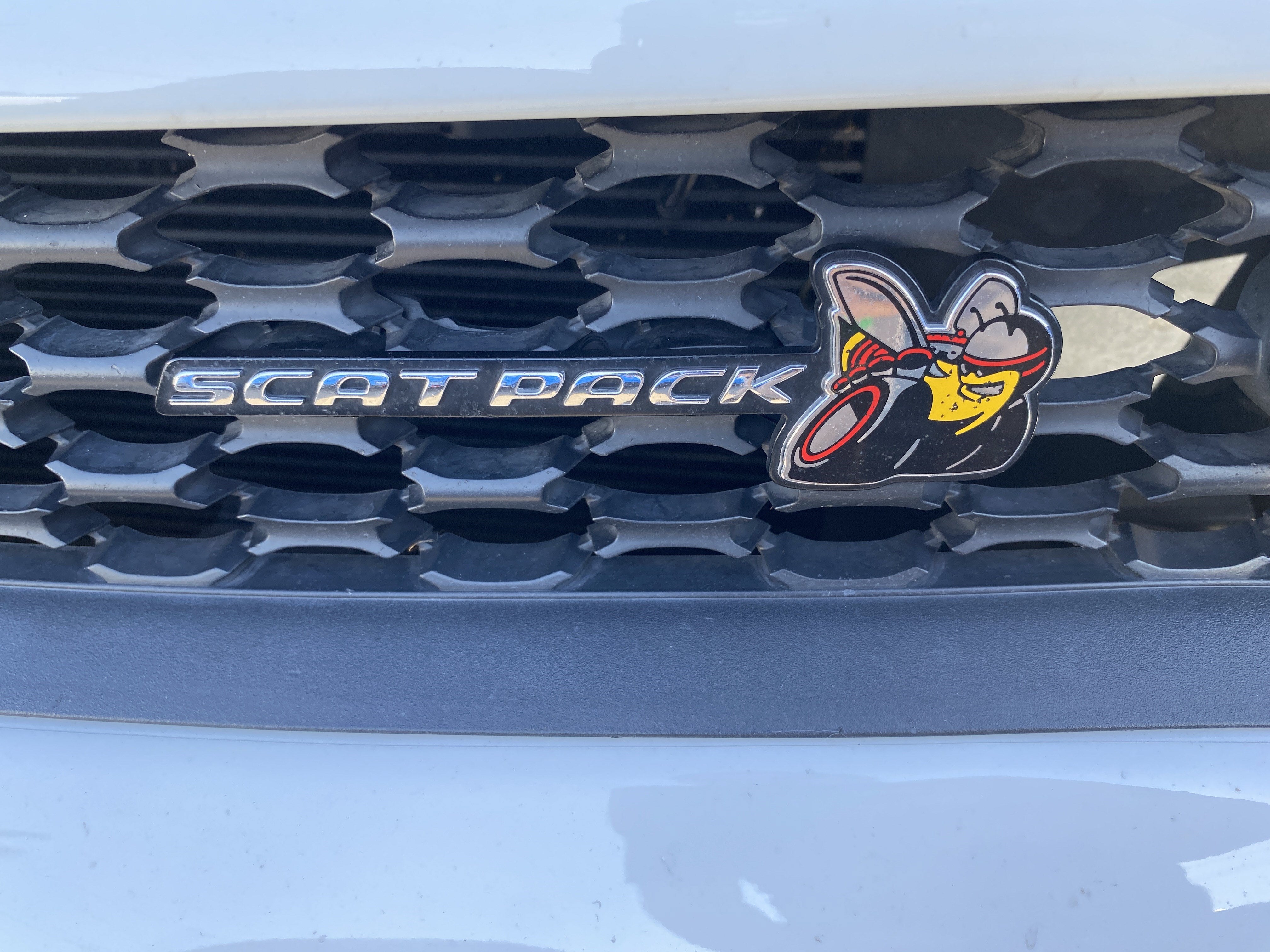2019 Dodge Charger Scat Pack