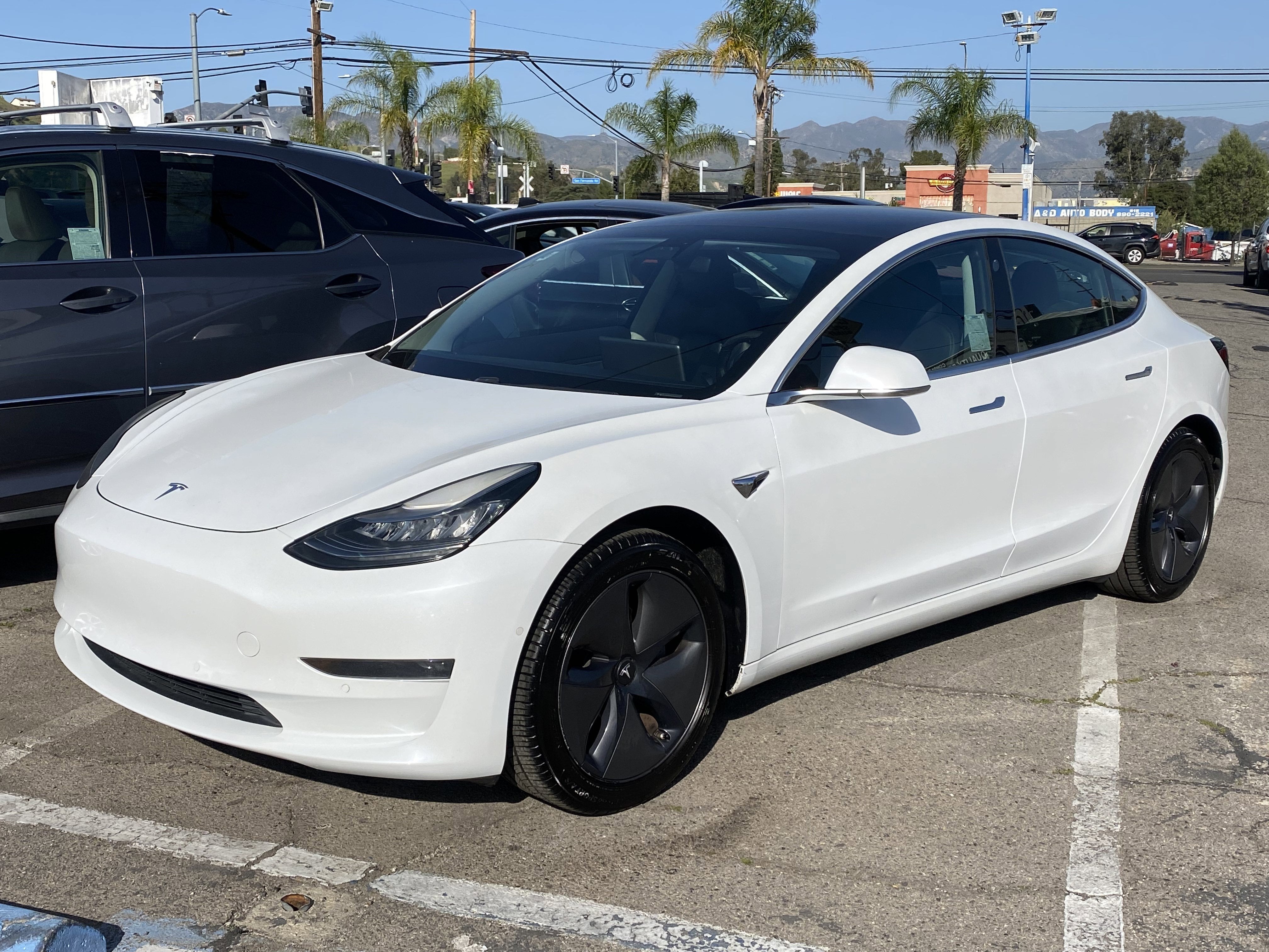 2019 Tesla Model 3 Standard Range Plus