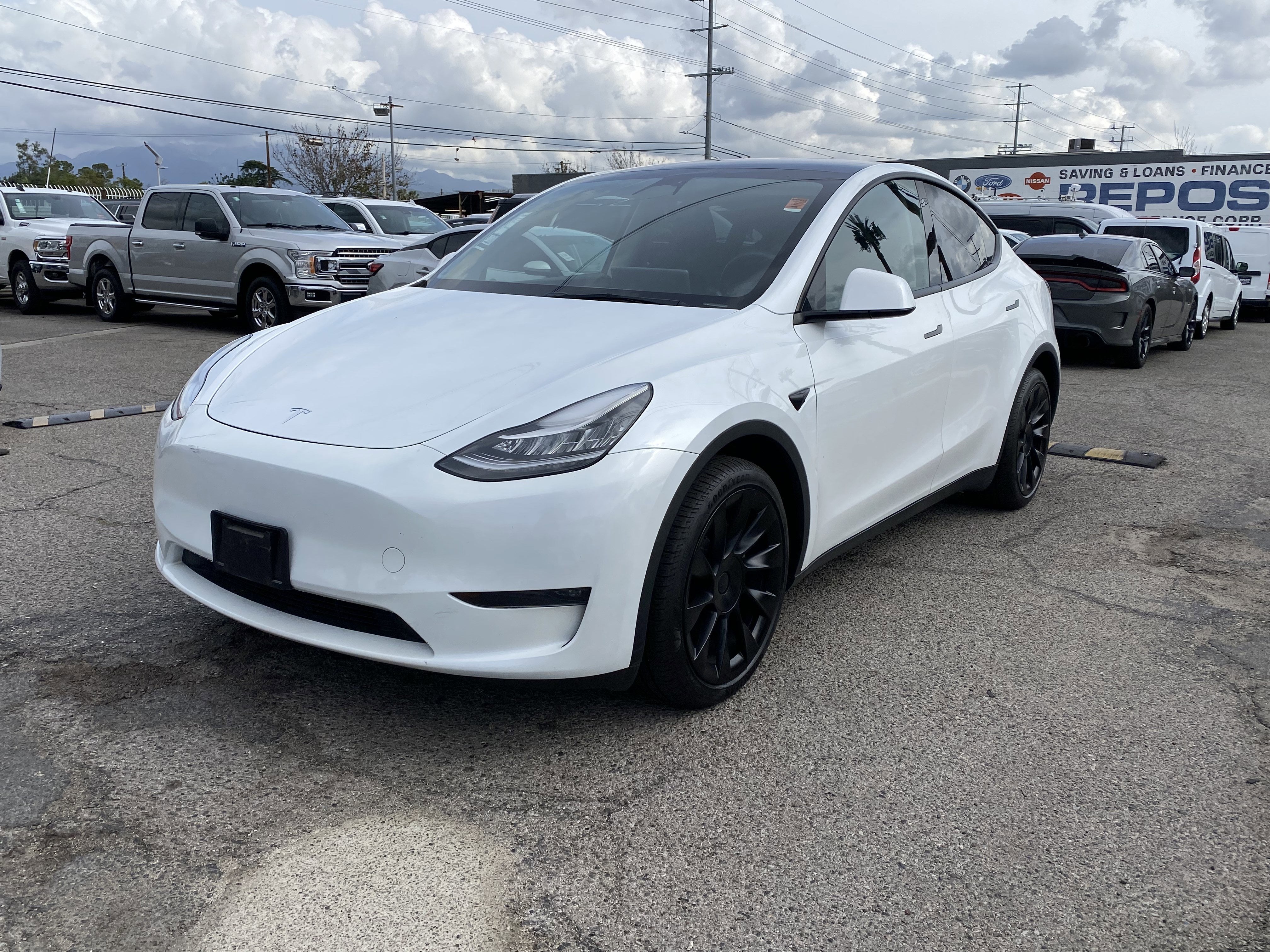 2023 Tesla Model Y Long Range