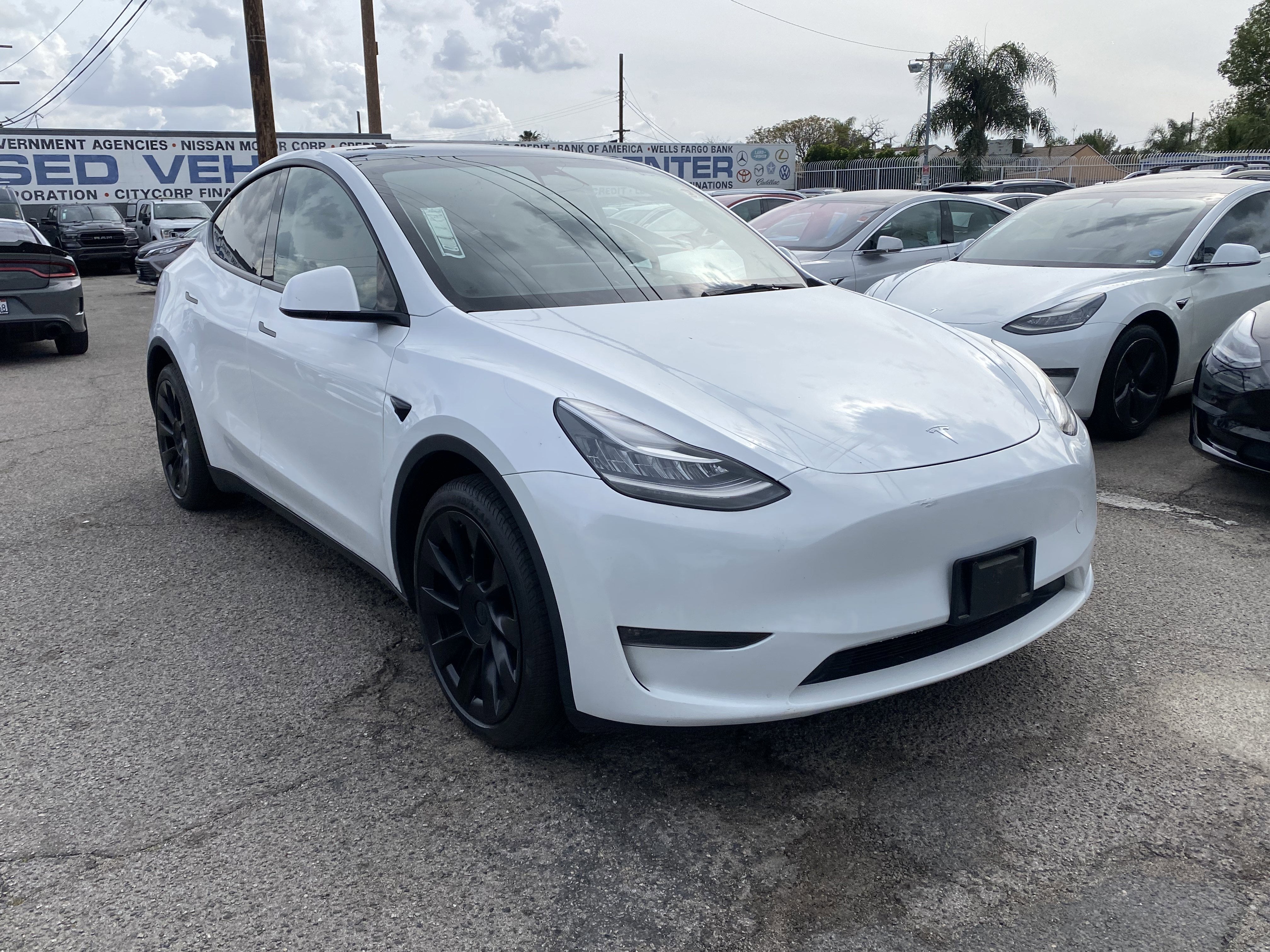 2023 Tesla Model Y Long Range