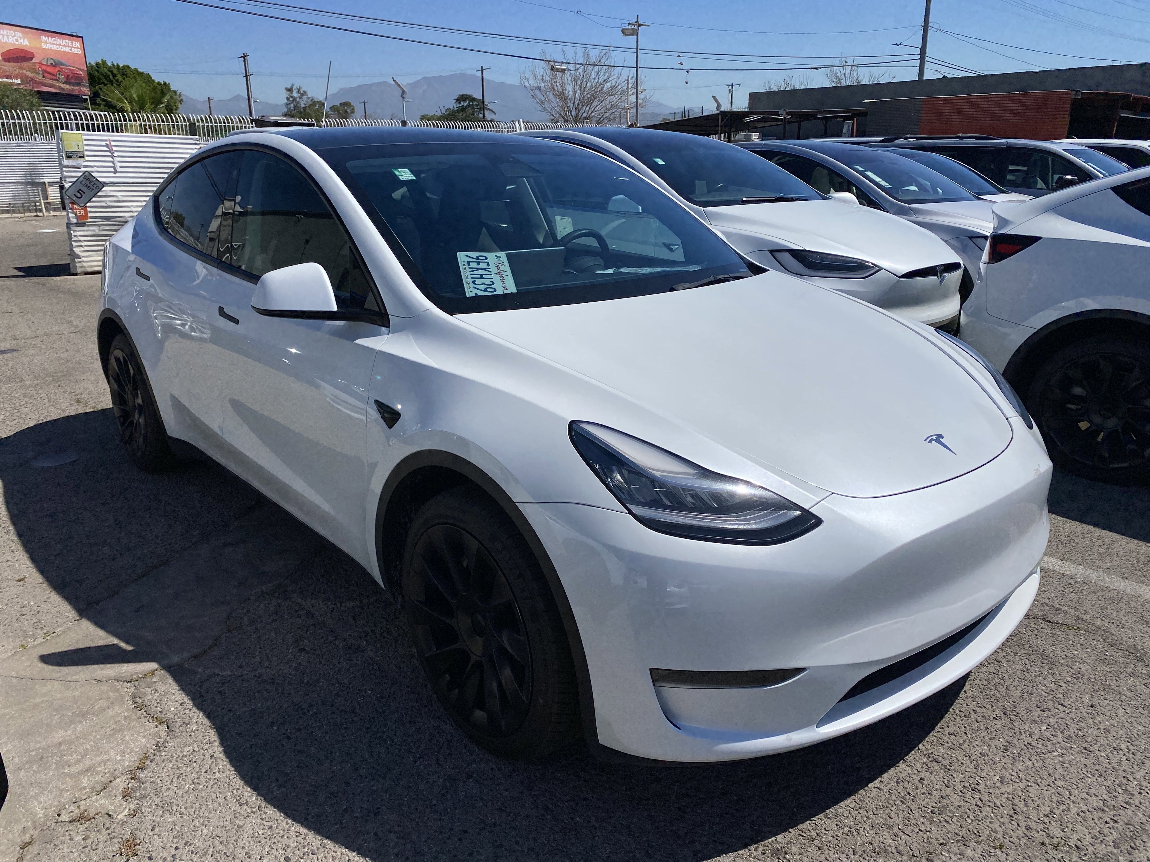 2023 Tesla Model Y Long Range