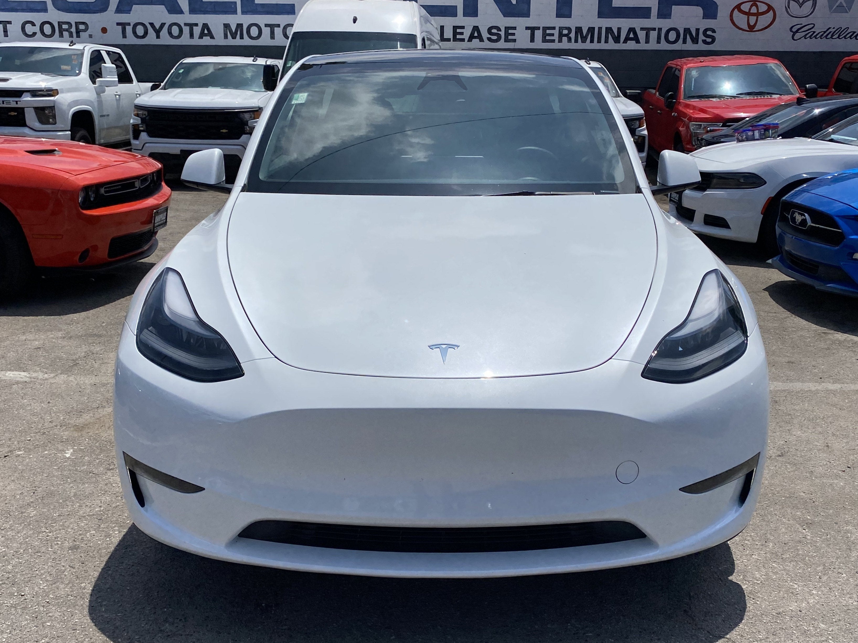 2024 Tesla Model Y Long Range